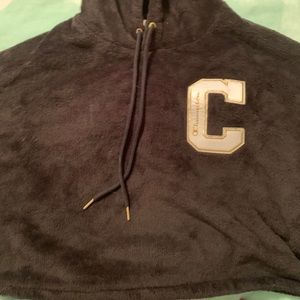 Champion hoodie crop